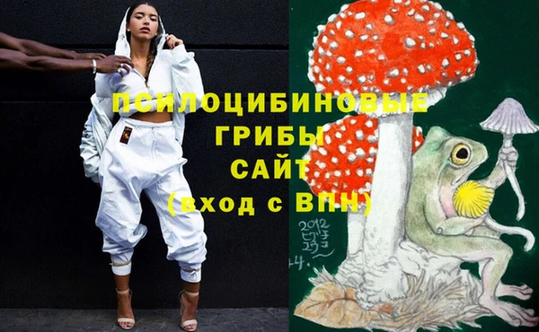 стаф Гусев