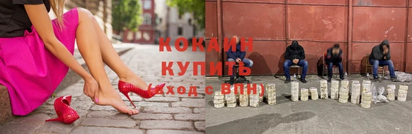 гашик Гусь-Хрустальный