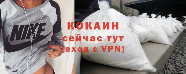 стаф Гусев