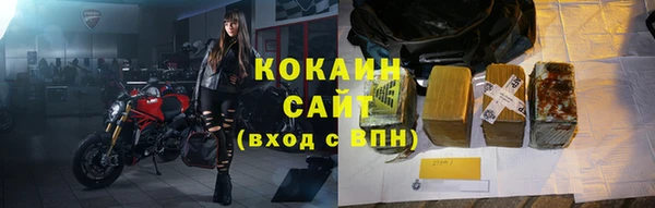 гашик Гусь-Хрустальный