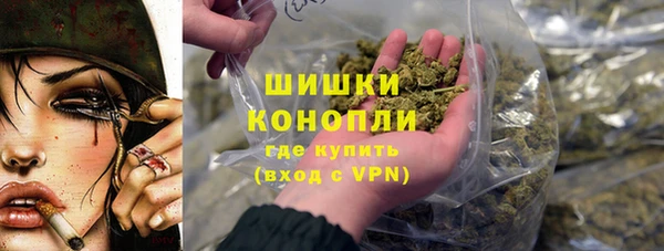 гашик Гусь-Хрустальный