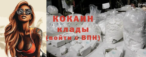 стаф Гусев