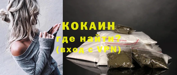 гашик Гусь-Хрустальный
