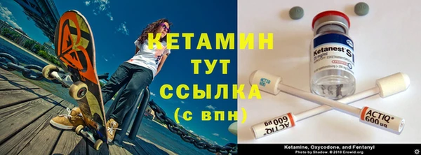 винт Лагань