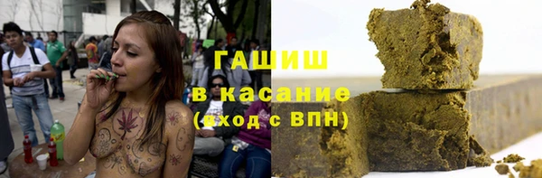 стаф Гусев