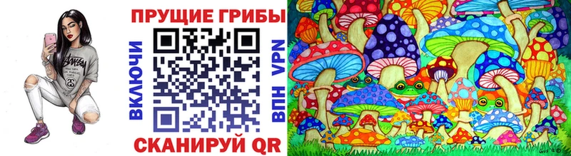 дарнет шоп  Нея  Псилоцибиновые грибы Psilocybine cubensis 